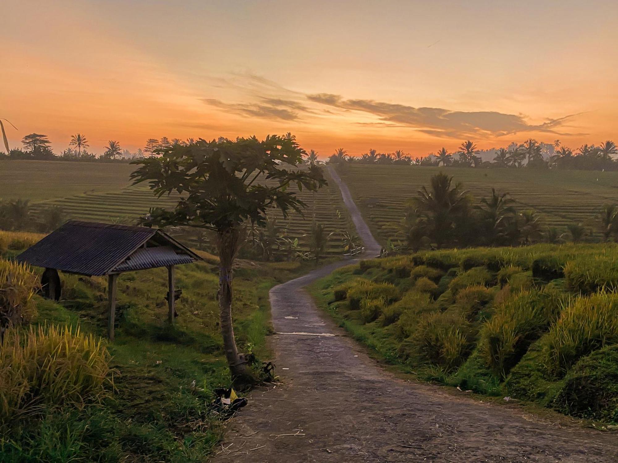 Bali Palms Apartment ตาบานัน ภายนอก รูปภาพ