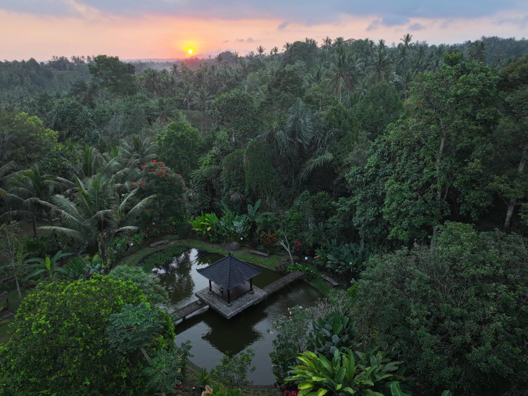 Bali Palms Apartment ตาบานัน ภายนอก รูปภาพ
